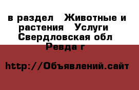  в раздел : Животные и растения » Услуги . Свердловская обл.,Ревда г.